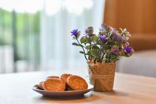 Апарт-отели Apart Hotel M.S. KATUNJANIN Игало Апартаменты с 1 спальней-4